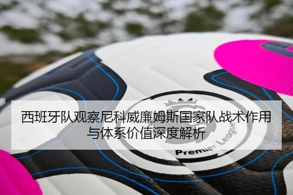 西班牙队观察尼科威廉姆斯国家队战术作用与体系价值深度解析